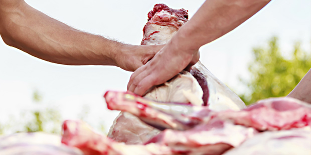 Observatoire du marché de la viande