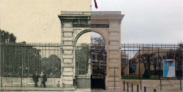 Ecole Nationale Vétérinaire d'Alfort : 250 ans