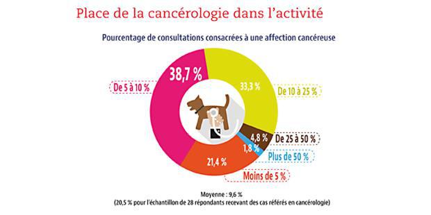 Infographie sur la place de la cancérologie