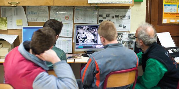 Eleveurs visionnants les cameras