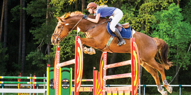 Cavalier sur un cheval