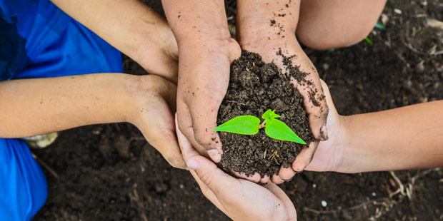 Les états généraux de l’alimentation auront lieu cet été.Plusieurs mains tiennent une poignée de terre où pousse une jeune plante